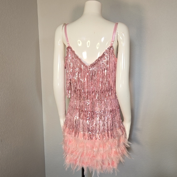 Pink Sequin Fringe Dress - Picture 6 of 6